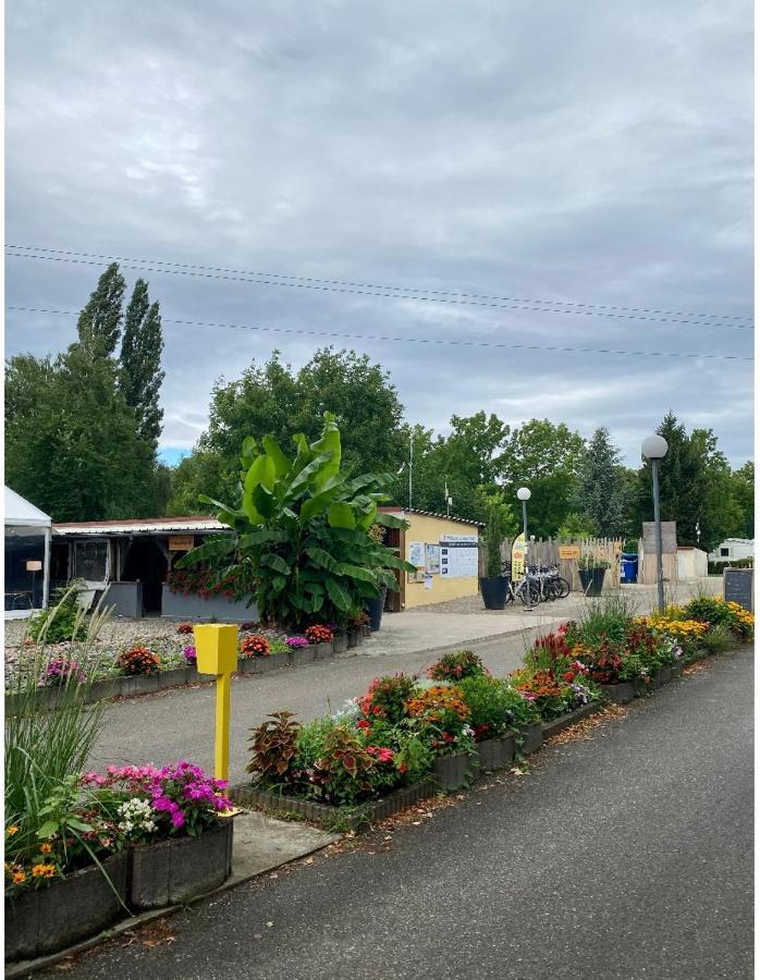Mobile Home Proche De Europa Park Boofzheim Extérieur photo